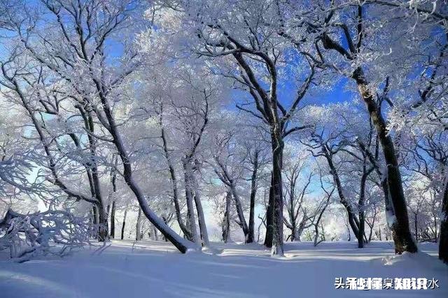 做直言不讳的人好吗