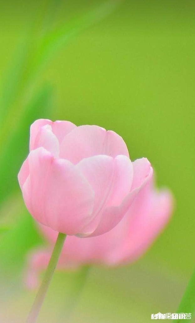 你有想过找个人凑合过日子吗