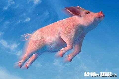 为什么说在当下,自媒体是一种行业风口