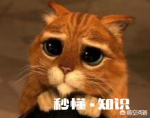 想学习法语，在哪个平台比较好