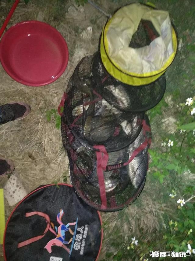 钓箱买不起，问问某宝什么装鱼桶好点