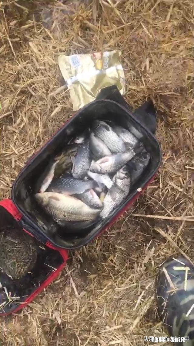 钓箱买不起，问问某宝什么装鱼桶好点