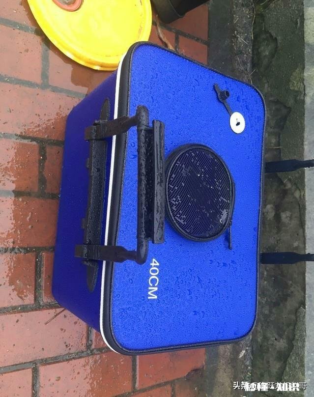 钓箱买不起，问问某宝什么装鱼桶好点