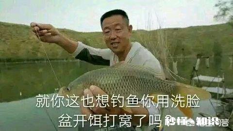 钓白鲢用什么打窝比较好