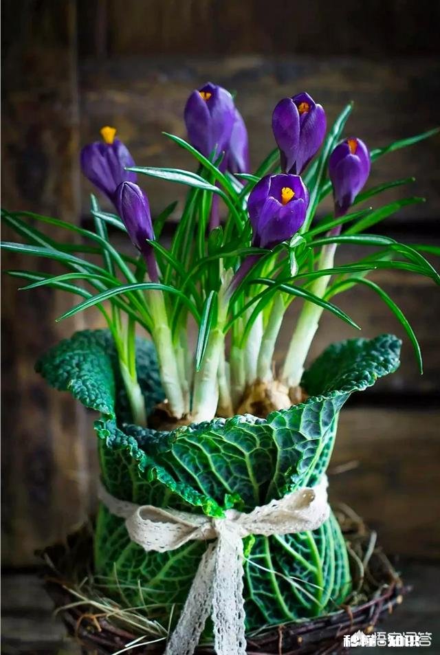 做餐饮的最高境界是什么