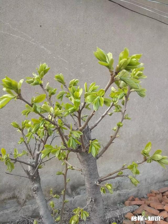 用一句话解释“谁”给你的坚持下去的动力