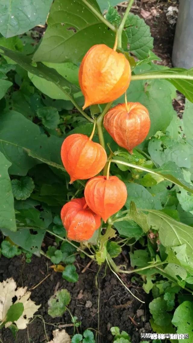 用一句话解释“谁”给你的坚持下去的动力