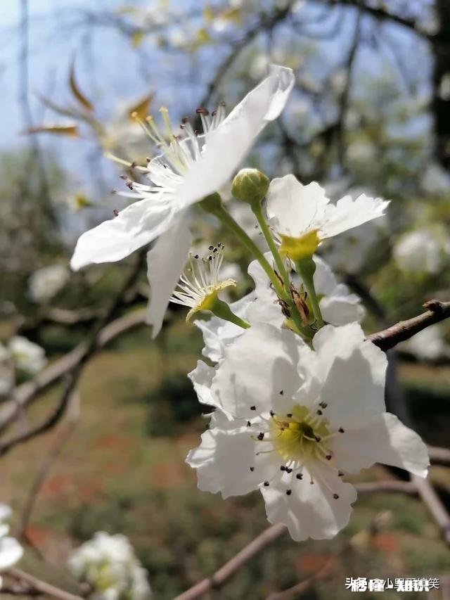 用一句话解释“谁”给你的坚持下去的动力