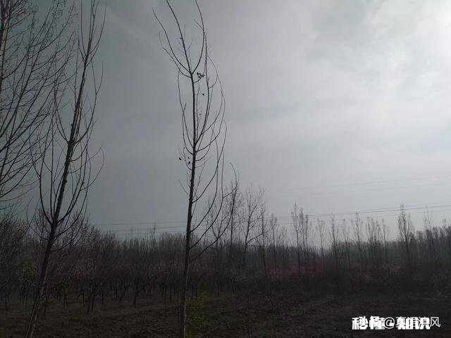 用一句话解释“谁”给你的坚持下去的动力