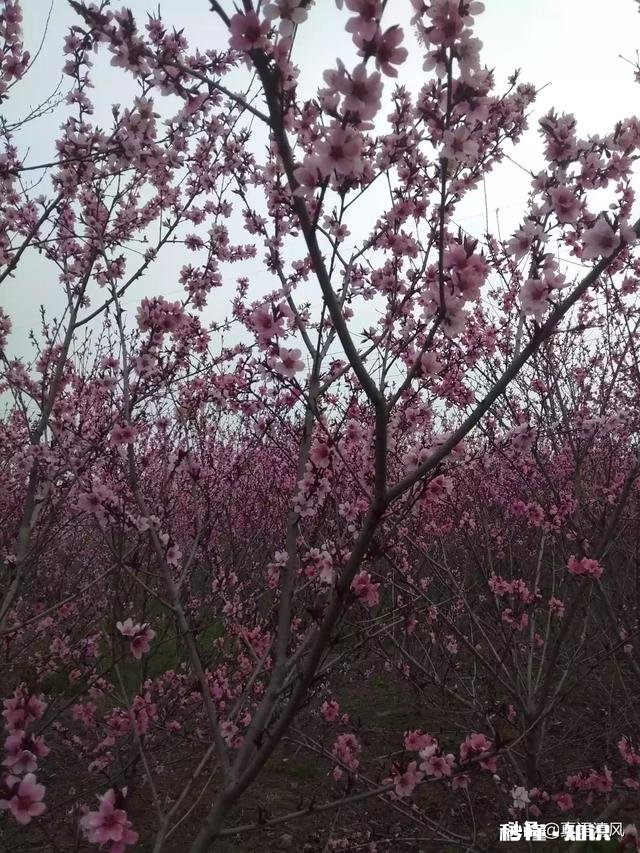 用一句话解释“谁”给你的坚持下去的动力