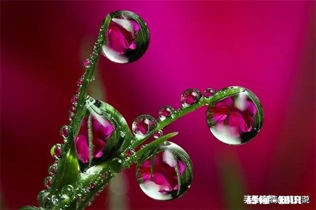 用一句话解释“谁”给你的坚持下去的动力