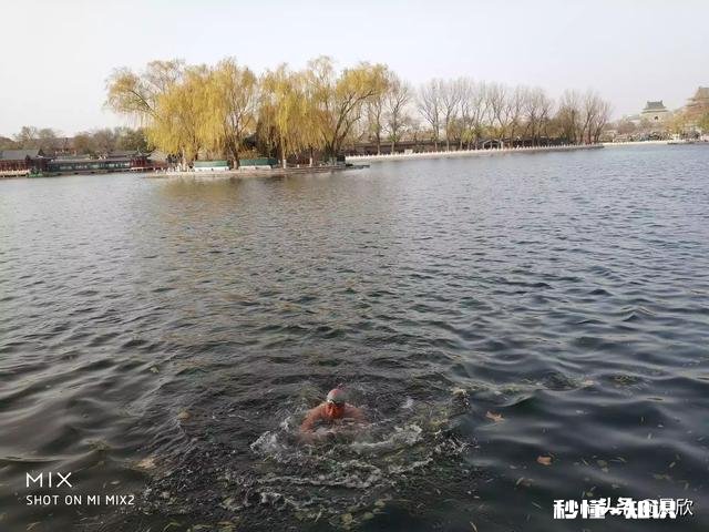 长期坚持游泳是怎样的体验