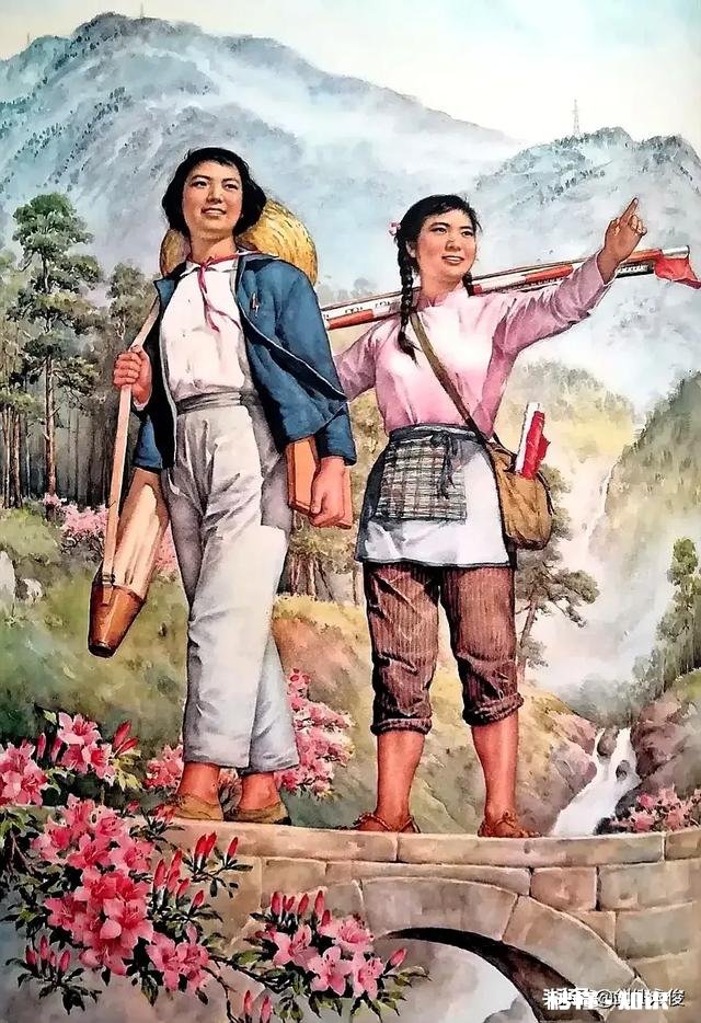 振兴农业，有人提议退休人员告老还乡，你怎么看