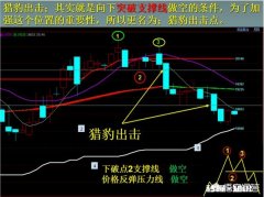 在期货交易中，重仓严止损，轻仓宽止损，您怎么看