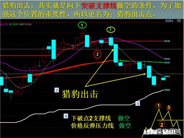 在期货交易中，重仓严止损，轻仓宽止损，您怎么看