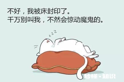 什么是自控力的杀手你怎么看