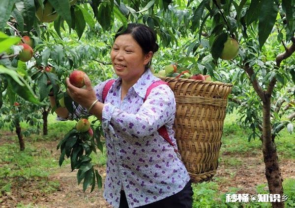 农民如果没钱了，怎么办