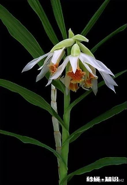 如何看待去酒吧的女生