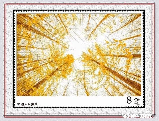 你丢了10万越南盾会是什么感觉