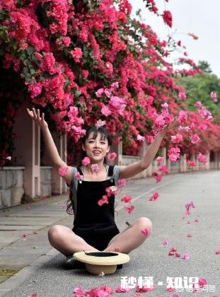 请问三角梅好养吗，怎么养好看