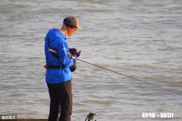 钓鱼需要看潮水吗有哪些经验可以分享