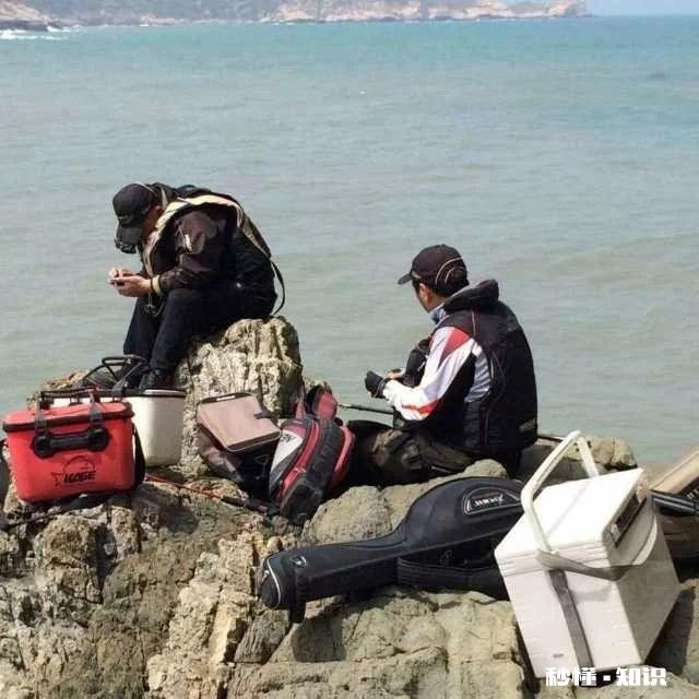 钓鱼需要看潮水吗有哪些经验可以分享