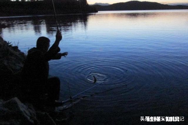 夏季了，钓鲫鱼总是遇到白条闹窝根本钓不成，怎么办?应该用什么饵料，搓饵还是拉饵