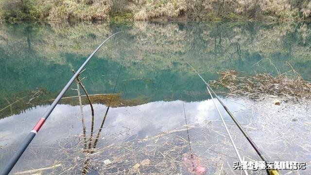 夏季了，钓鲫鱼总是遇到白条闹窝根本钓不成，怎么办?应该用什么饵料，搓饵还是拉饵