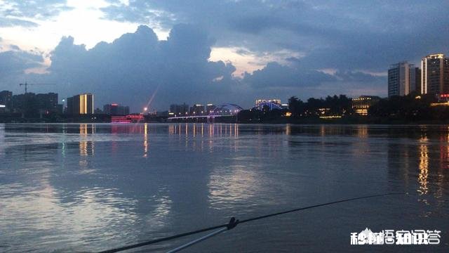 夏季了，钓鲫鱼总是遇到白条闹窝根本钓不成，怎么办?应该用什么饵料，搓饵还是拉饵