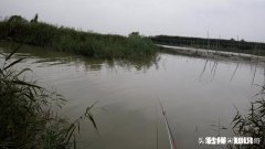 秋天野钓鲫鱼的饵料冬天能用吗该怎么调整