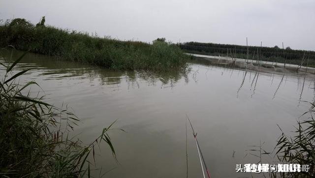秋天野钓鲫鱼的饵料冬天能用吗该怎么调整