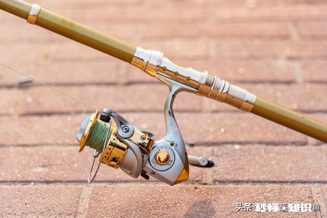 海竿刺鱼时轮子怎么会松