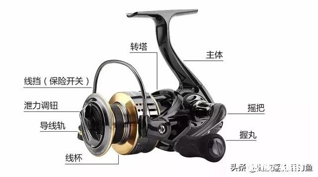 海竿刺鱼时轮子怎么会松