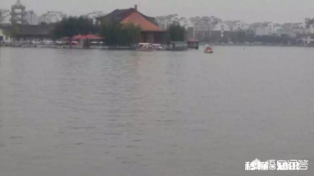 钓鱼回水湾好还是平流好