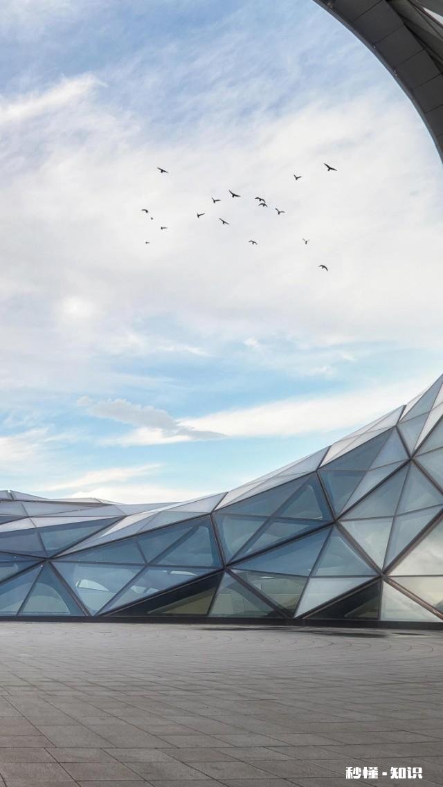 随着科技发展进步及人工智能化，感觉人越来越依赖手机，假如没有手机，你想做些什么