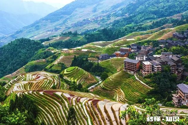 种什么茶叶经济价值最高