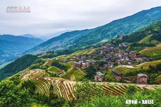 种什么茶叶经济价值最高