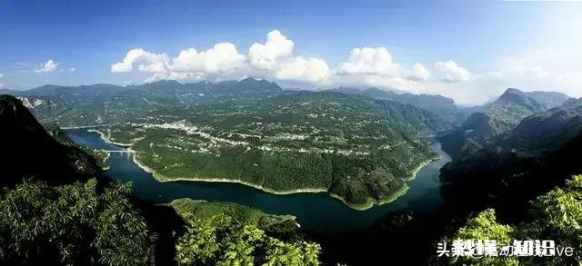 种什么茶叶经济价值最高