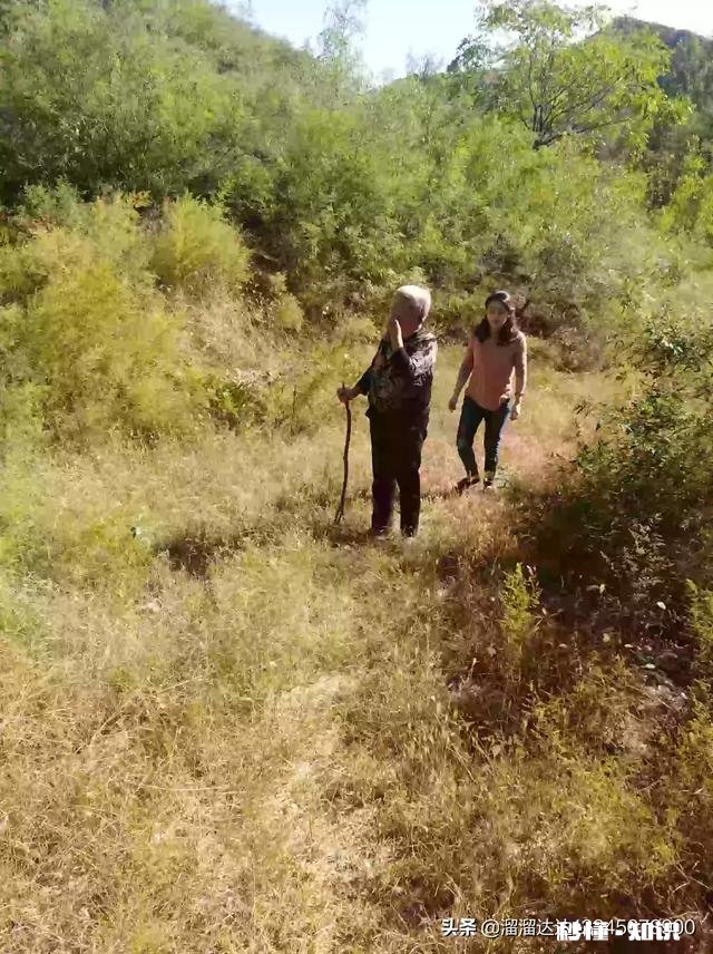 保定附近哪里有山泉小溪,安静凉爽的地方推荐