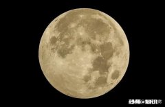 夏天大腿和臀部周边皮肤就会长这个，这个是什么有药膏可涂吗