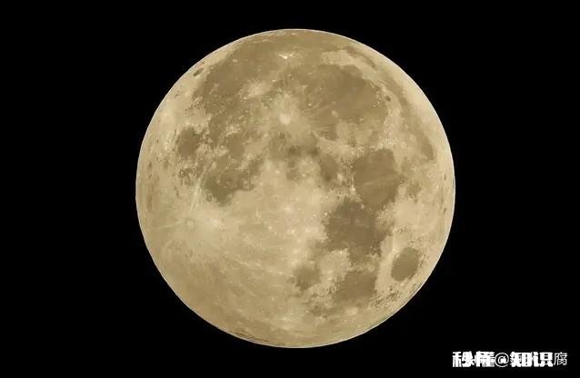 夏天大腿和臀部周边皮肤就会长这个，这个是什么有药膏可涂吗