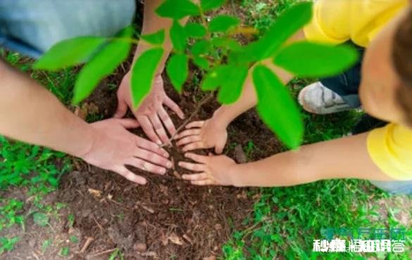 关于植树节的古诗有哪些