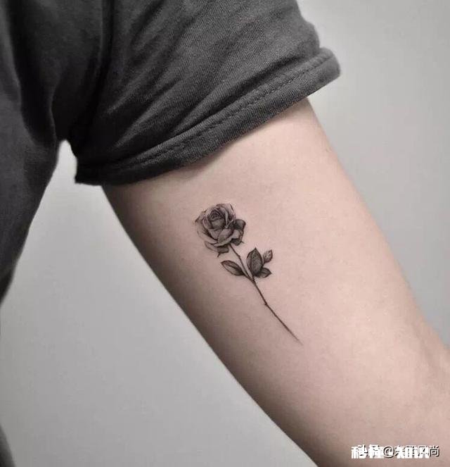 纹手臂上有哪些图案谢谢各位了