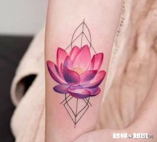 纹手臂上有哪些图案谢谢各位了