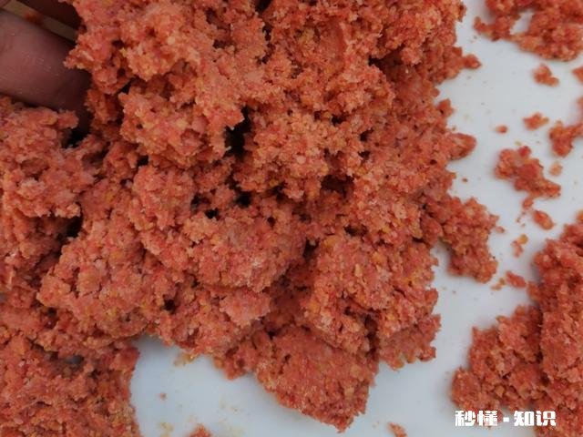 用饵料钓鱼需要打窝吗