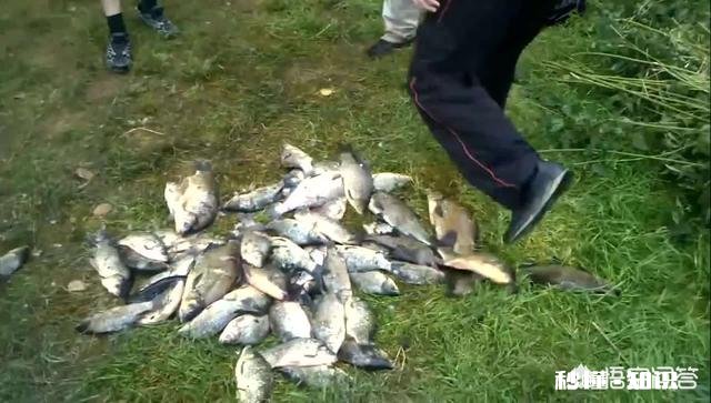 用饵料钓鱼需要打窝吗