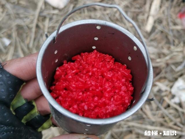 用饵料钓鱼需要打窝吗