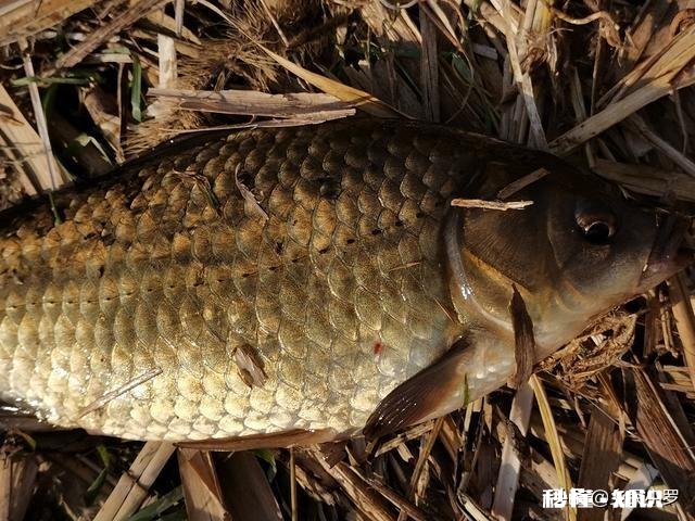 钓鱼人，您相信有“钓德”吗