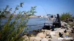 担心钓鱼刺鱼不深，用力过大，怎么办