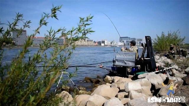 担心钓鱼刺鱼不深，用力过大，怎么办